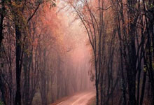 马尔基尼奥斯:很久没赢阿根廷了,与他们的比赛都是决赛.