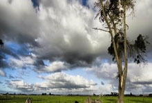 WTT优化赛事规则 樊振东或很快回归赛场.