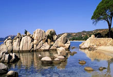 乒乓球——亚洲杯:蒯曼晋级四.